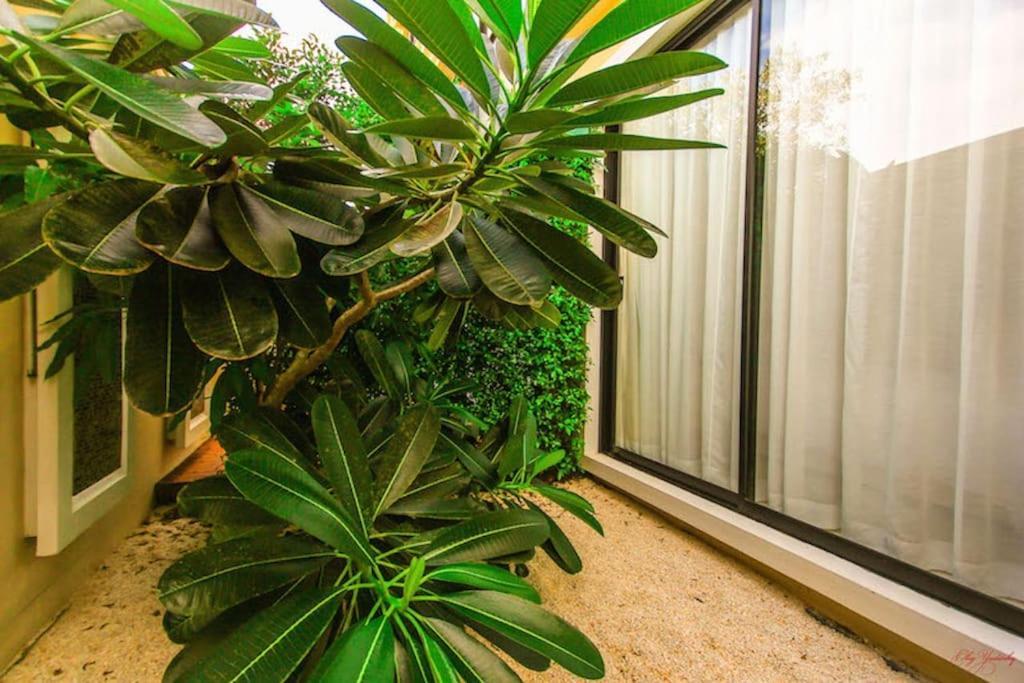 The 2bd Apartamento